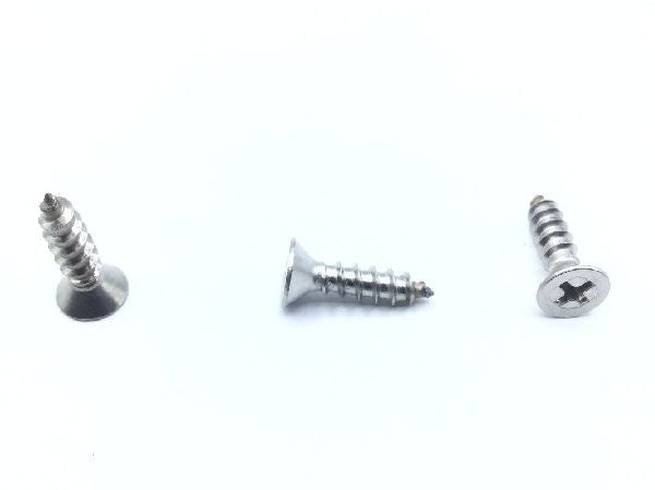 10X3/4FHA S/S Sheet Metal Screw (2)