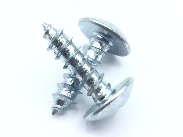 12X3/4THA S/S Sheet Metal Screw (2)