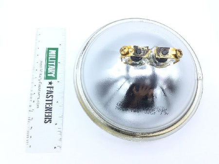 4580 Incandescent Lamp (3)