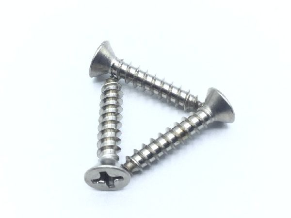 6X3/4FHA S/S Sheet Metal Screw