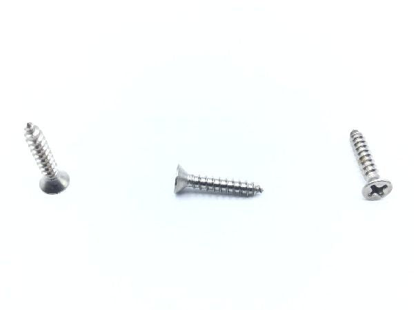 6X3/4FHA S/S Sheet Metal Screw (2)