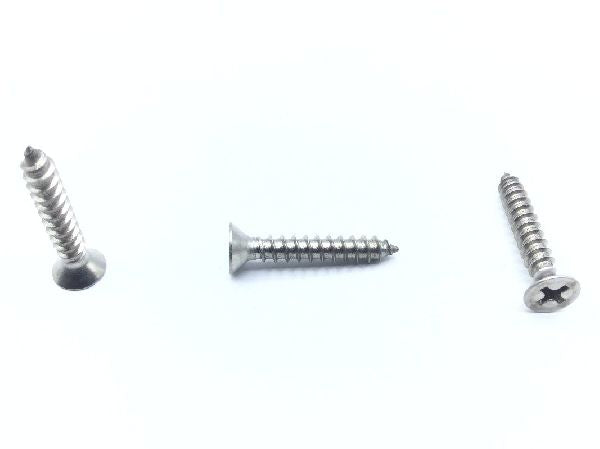 8X1FHA S/S Sheet Metal Screw (2)