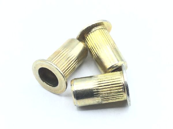 95105A123 Plain Blind Rivet Nut