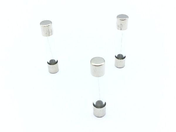 AGC-1R Cartridge Fuse (6)