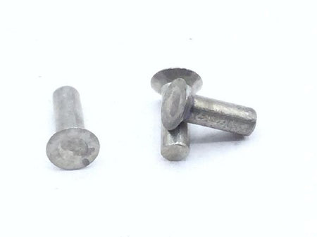 AN123480 Solid RIvet (6)