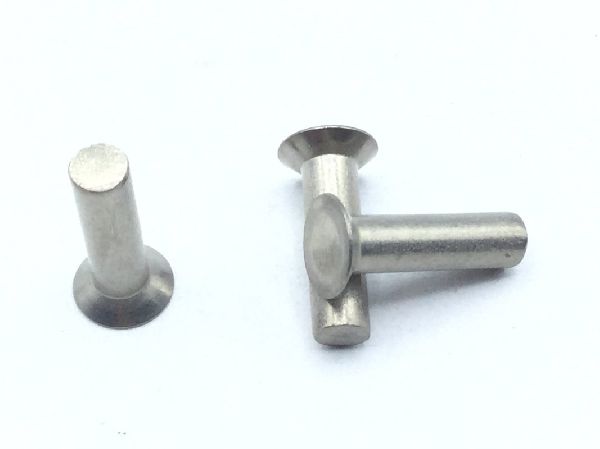 AN123631 Solid Rivet (6)