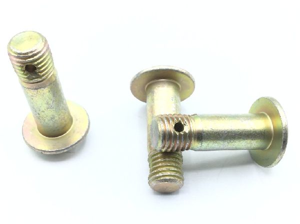 AN25-25 Bolt