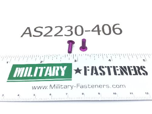 AS2230-406 Solid Rivet (2)