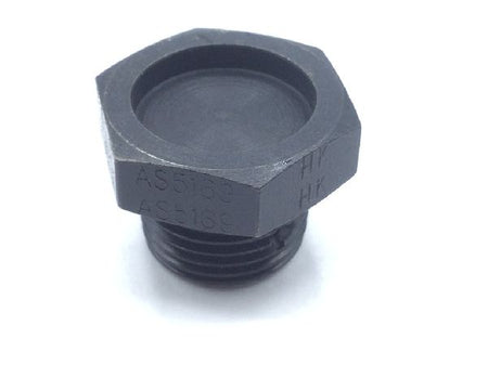 AS5169-08 Machine Thread Plug (2)