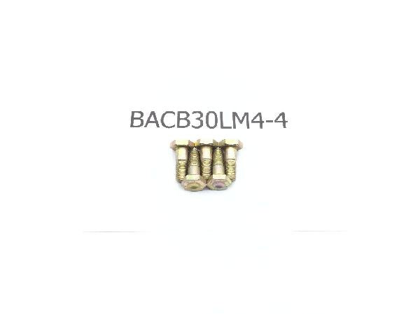 BACB30LM4-4 Machine Bolt (2)
