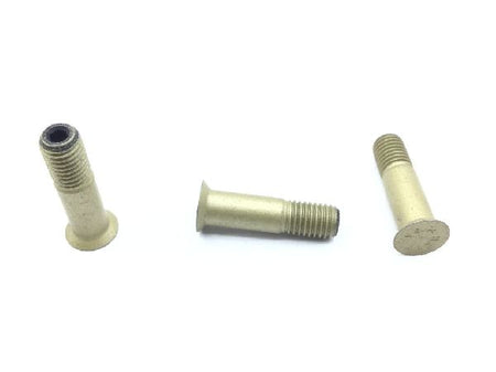 BACB30NW8K9 Shear Bolt (2)