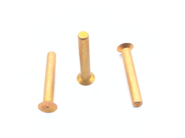BACR15BA3AD10C Solid Rivet (9)