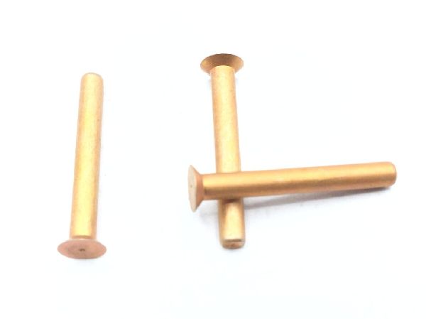 BACR15BA3AD12C Solid Rivet (8)