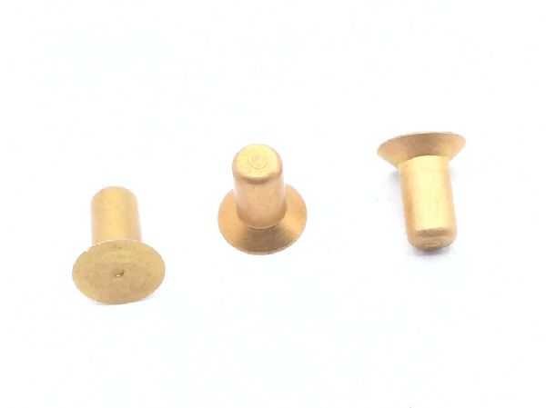 BACR15BA3AD3C Solid Rivet (10)
