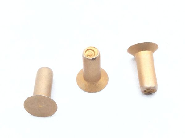 BACR15BA3AD4C Solid Rivet (6)
