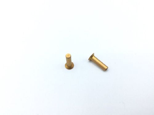 BACR15BA3AD6C Solid Rivet (3)