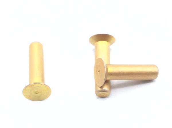 BACR15BA3AD6C Solid Rivet (10)