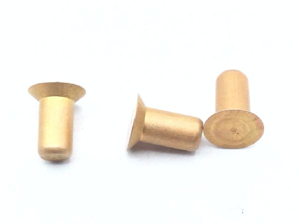 BACR15BA4AD4C Solid Rivet (8)