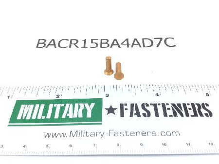 BACR15BA4AD7C Solid Rivet (2)