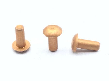 BACR15BB4AD5C Solid Rivet (5)