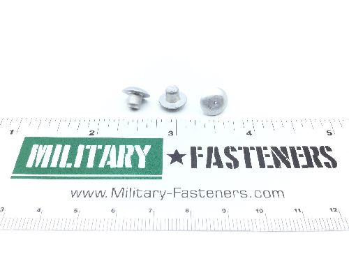 BACR15BB6D3C Solid Rivet (2)