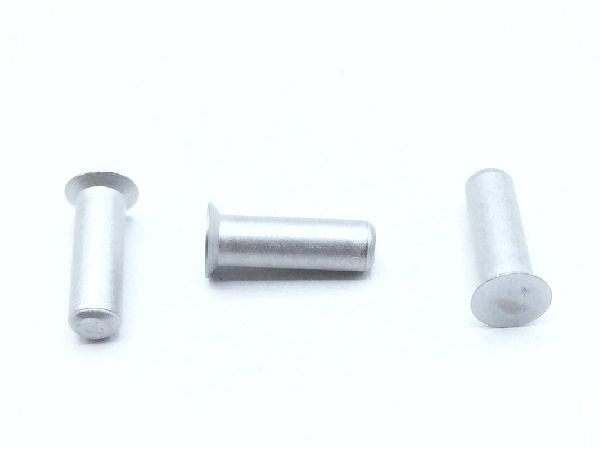 BACR15CE5D8 Solid Rivet (4)