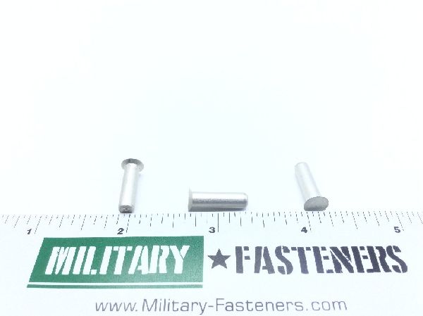 BACR15CE6D11 Solid Rivet (6)