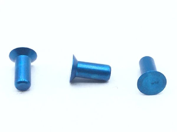 BACR15DP5AD6 Solid Rivet (4)