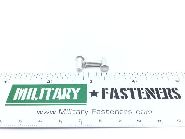 BACR15FT5D6C Solid Rivet (2)