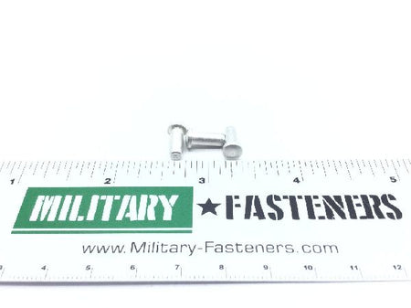 BACR15FT5D6C Solid Rivet (2)