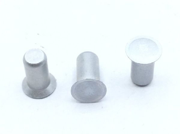 BACR15GF5D5 Solid Rivet (7)