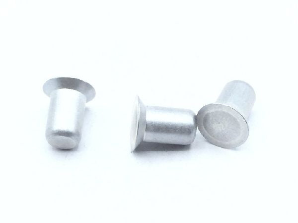 BACR15GF6D5 Solid Rivet (8)