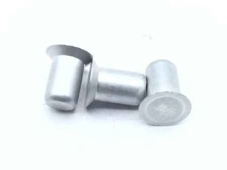 BACR15GF6D5 Solid Rivet (9)
