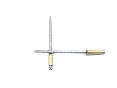 CCR244SS-3-04 Blind Rivet (3)