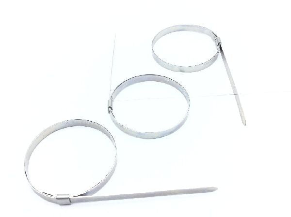 JS2539 Hose Clamp (4)