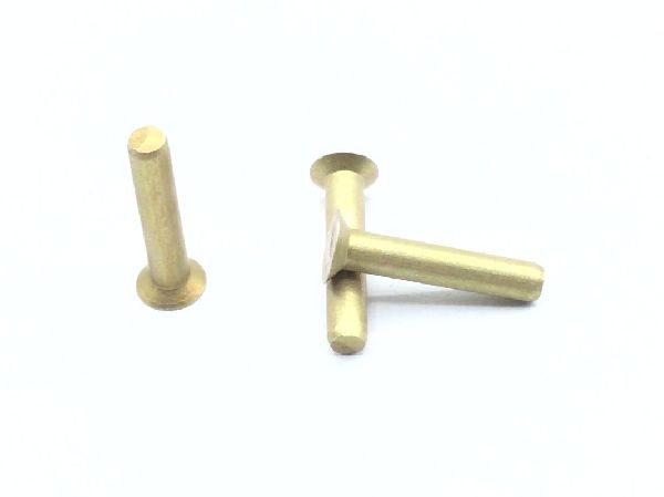 MS20426A3-8 Solid Rivet (2)