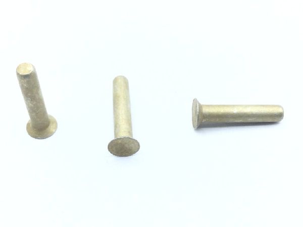 MS20426A4-10 Solid Rivet (2)