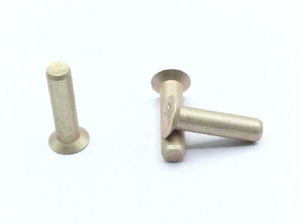 MS20426A5-10 Solid Rivet (2)