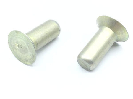 MS20426AD10-12 Solid Rivet (8)