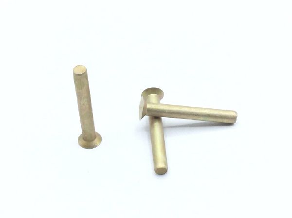 MS20426AD3-11 Solid Rivet (2)