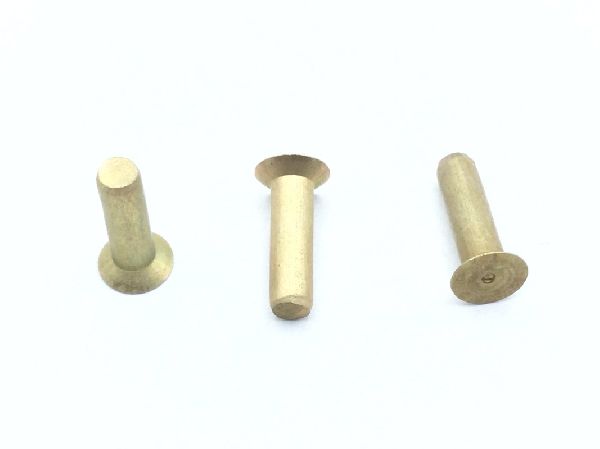 MS20426AD3-5.5 Solid Rivet (2)