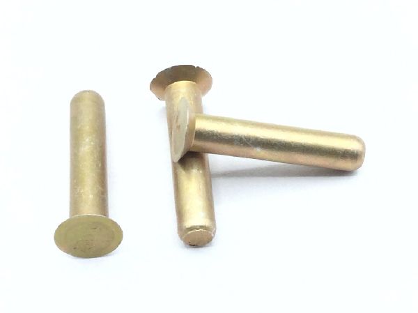 MS20426AD4-10 Solid Rivet (2)