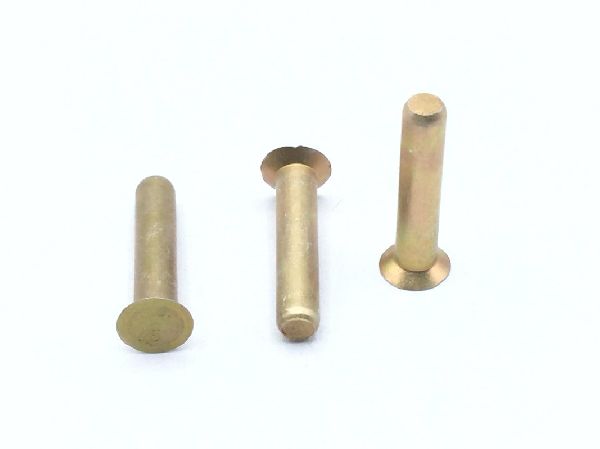 MS20426AD4-10 Solid Rivet (3)
