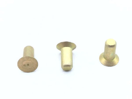 MS20426AD5-5.5 Solid Rivet (2)