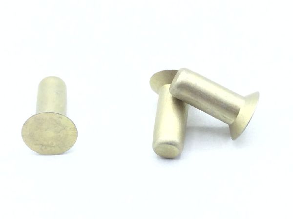 MS20426AD5-6.5 Solid Rivet (3)