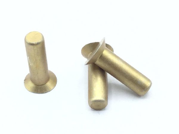 MS20426AD5-8.5 Solid Rivet (2)