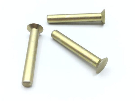MS20426AD6-20 Solid Rivet (4)