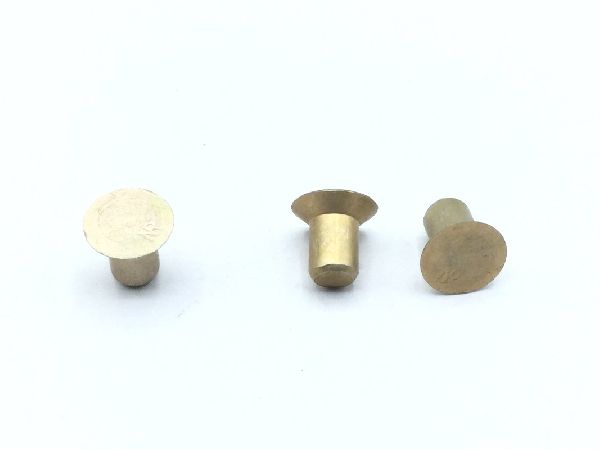 MS20470AD5-4 Solid Rivet (2)