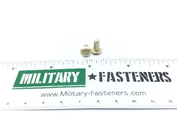 MS20470AD5-5.5 Solid Rivet