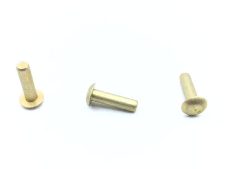 MS20470AD5-9.5 Solid Rivet (2)